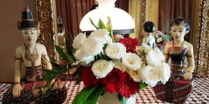 WhatsApp Image 2017-06-08 at 10.01.16(1)