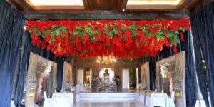 WhatsApp Image 2023-08-03 at 08.43.26