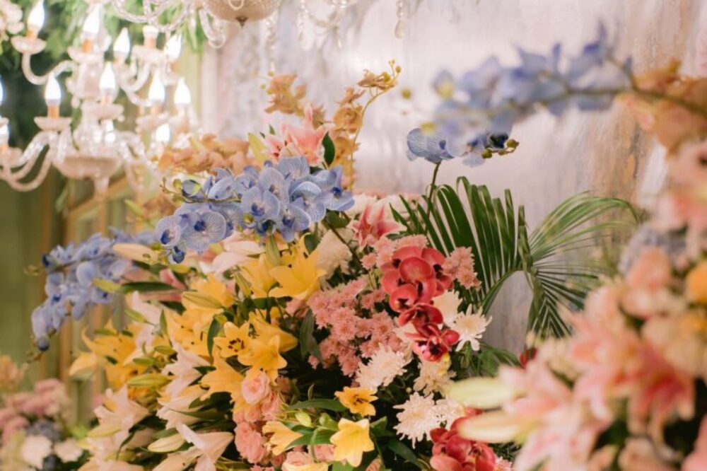 WhatsApp Image 2023-08-03 at 08.44.14 (1)